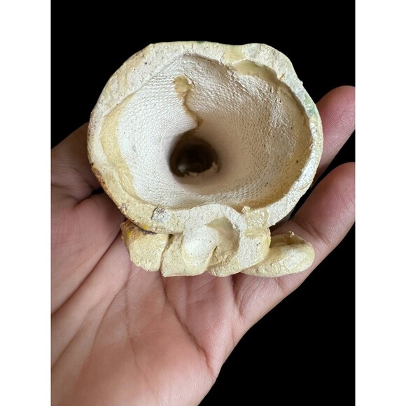 Signed Ceramic Sculpture by Pavlina Rymerova One Of A Kind Fine Art  10” Europe - Picture 11 of 12